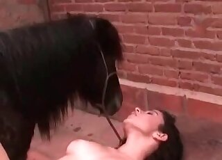 Attractive brunette keeps her legs spread during horse fucking