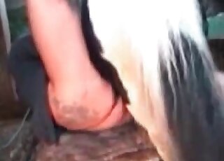 Mature stimulates horse’s cock with her pierced tongue in a closeup vid