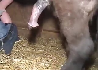 Pony bangs hot cunt of a wild perverted wife in the barn