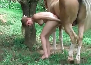 Slender chick gets her tight pussy crushed up by a stallion’s dong