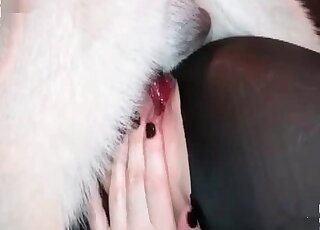 Steaming hot MILF gets the best relaxation having sex with her dog