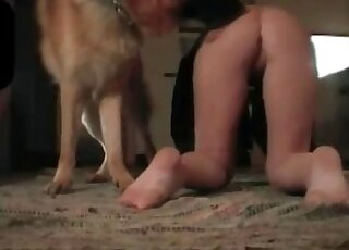 Wicked wife tempts her dog and gets pounded without limits