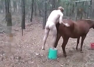 Crazy guy licks and fucks a big horse and cums on its ass