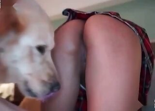 Bitch sucks her dog’s pink cock and gives the beast her cunt