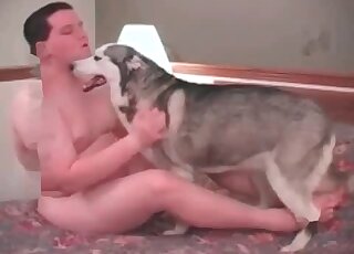 Nasty zoophile guy fucks his dog in the bedroom in a zoo porn video