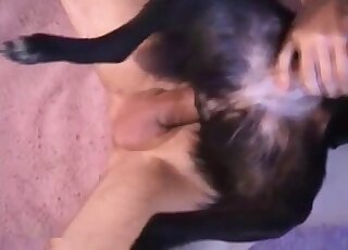 Dude destroys his dog’s hole rough in a closeup bestiality porn scene