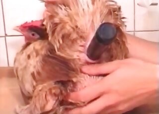 Crazy bitch toys a hen and enjoys the process in a crazy zoo porn vid