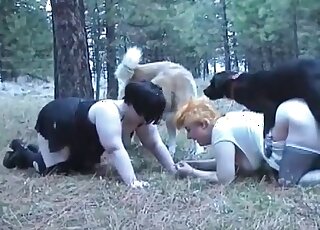 Two fat-assed mature whores enjoy sex with their dogs in the park