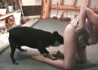 Dog Eats Pussy