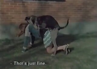 Strong dog fucks a hot wife outdoors without getting exhausted