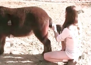 Dude treats his sexual passion by fucking a pony from behind