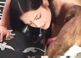 Busty brunette provides her hairy pussy to her active trained dog