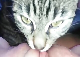 Dirty-minded slut gives her needy pussy to her cat to give a lick