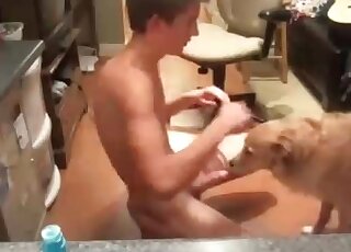 Sexual pervert spreads legs to get his dick and balls licked by a dog