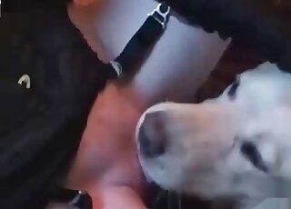 Mature in sexy lingerie likes to get licked and pounded by her dog