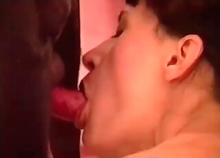 Lesbian whores toy each other and make a huge dog lick their twats