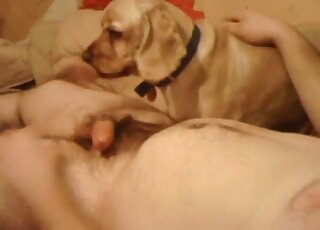 Chubby guy's zoophile cock is serviced by a sexy animal in this one