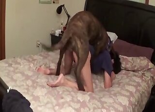 Leggy stay-at-home-mom gets fucked by the family pet in zoo XXX