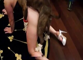 Hot creature fucks a blonde as she arches her back on all fours